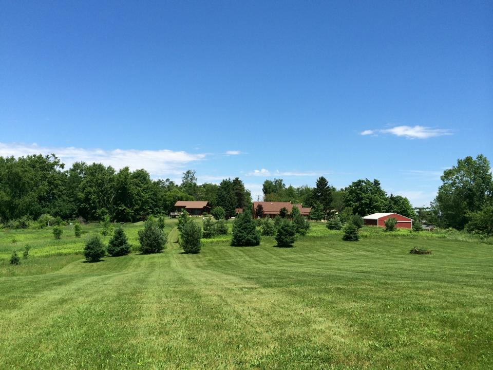 Amitabha Village in summer · Perry, Michigan